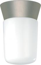 Nuvo SF77/155 - 1 LIGHT UTILITY CEILING MOUNT